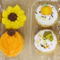 6-Pk Cupcakes